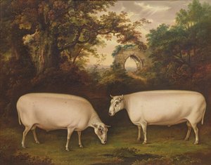 Due montoni di razza Border Leicester in un paesaggio, 1800